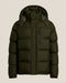 Company Olive